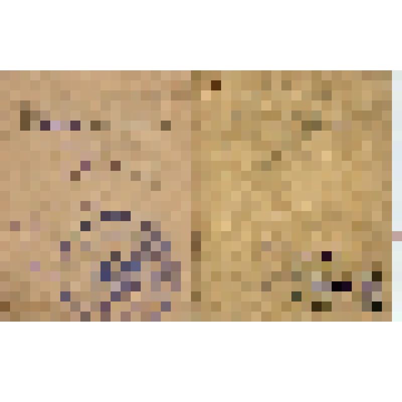 Членская книжка союза Кошчи на имя Б. Гайбулина Б. (на национальном языке)