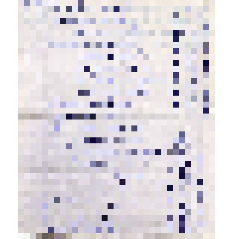 Письмо-воспоминание Балькиной Марии Петровны. Пятигорск, 1991 г