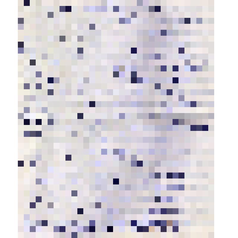 Письмо-воспоминание Балькиной Марии Петровны. Пятигорск, 1991 г