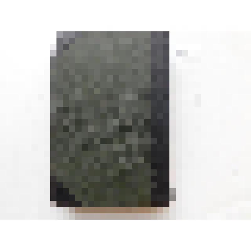 Книга большеформатная: Большая энциклопедия под редакцией С.Н. Южакова, том шестой. Издание второе, со стереотипа. – СПб., тип. тов-ва «Просвещение», 1902