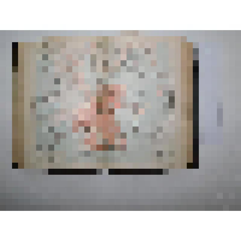 Книга большеформатная: Большая энциклопедия под редакцией С.Н. Южакова, том шестой. Издание второе, со стереотипа. – СПб., тип. тов-ва «Просвещение», 1902