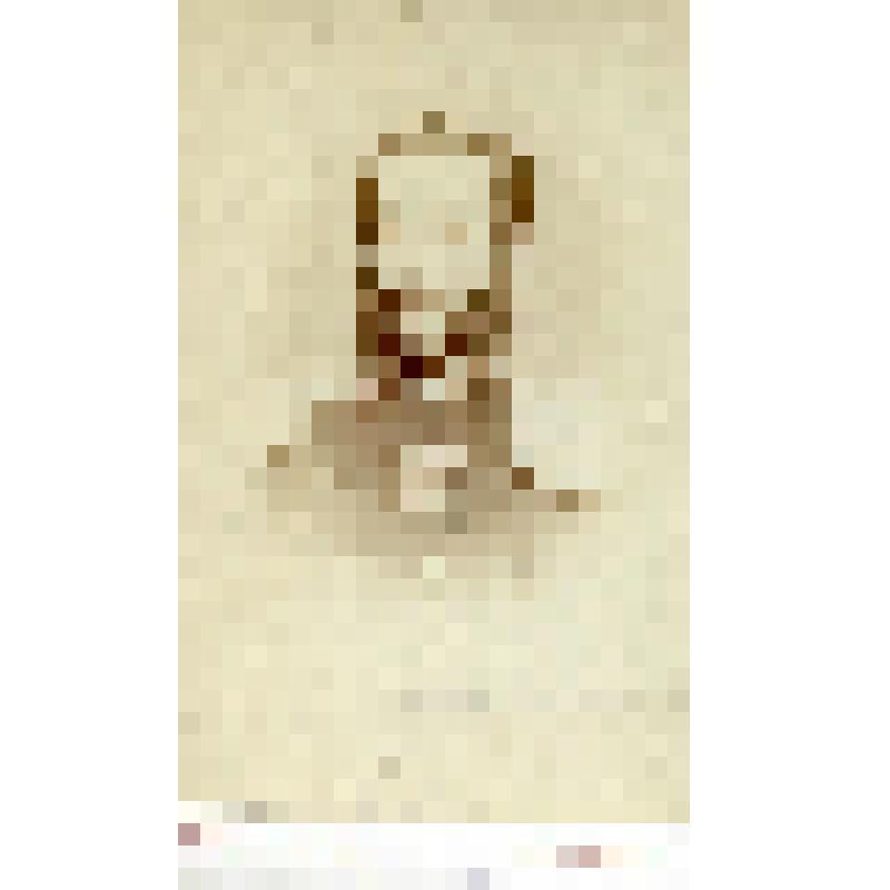 Фотография черно-белая. О'Рурк II-й Ипполит Морицович