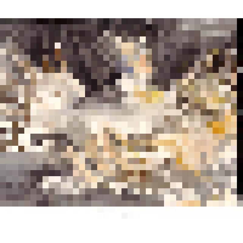 Филин. Графическая работа