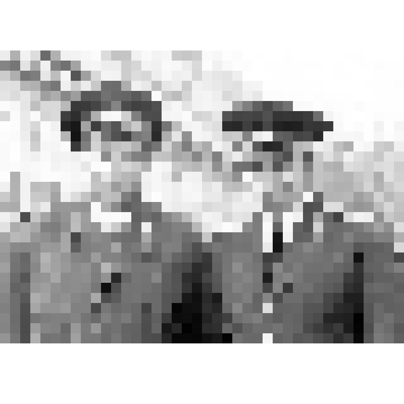 Тращенко П.Ф. и Казанский, работник КГБ (слева направо)