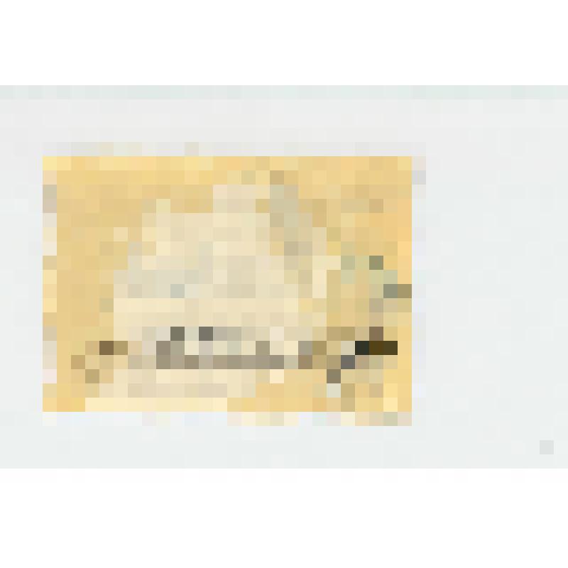 Марка почтовая. "Виды Кремля со стороны Москвы-реки". vI  Фестиваль. Виды города Москвы (Номинал -40 копеек)