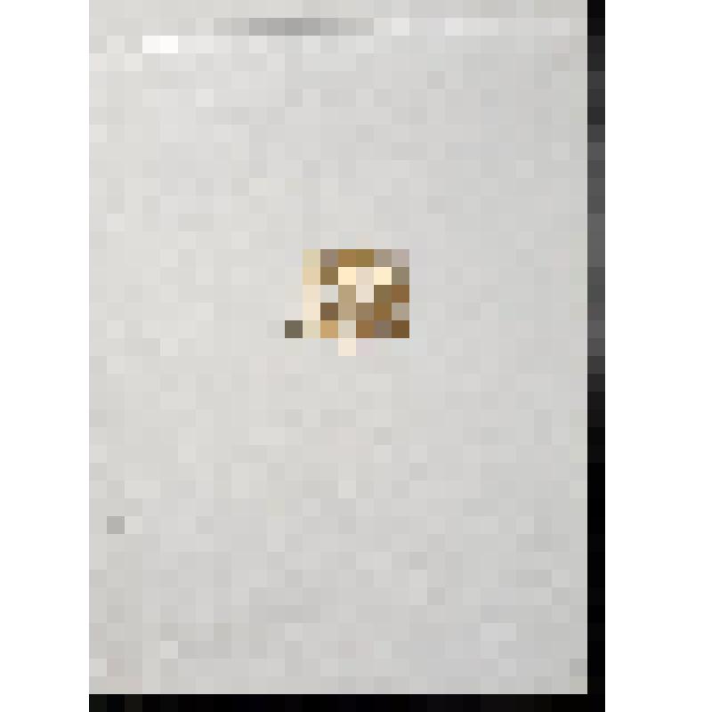 Альманах библиофила. Вып.2. Вып.2. /Редкол. Е.И. Осетров и др.- Худож. В.В. Вагин. Сборник статей.- Москва. Книга, 1975.- 303 с.: ил., портр