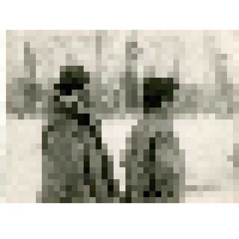 Фотография. Типы тунгусов. оз. Сэнгнэке