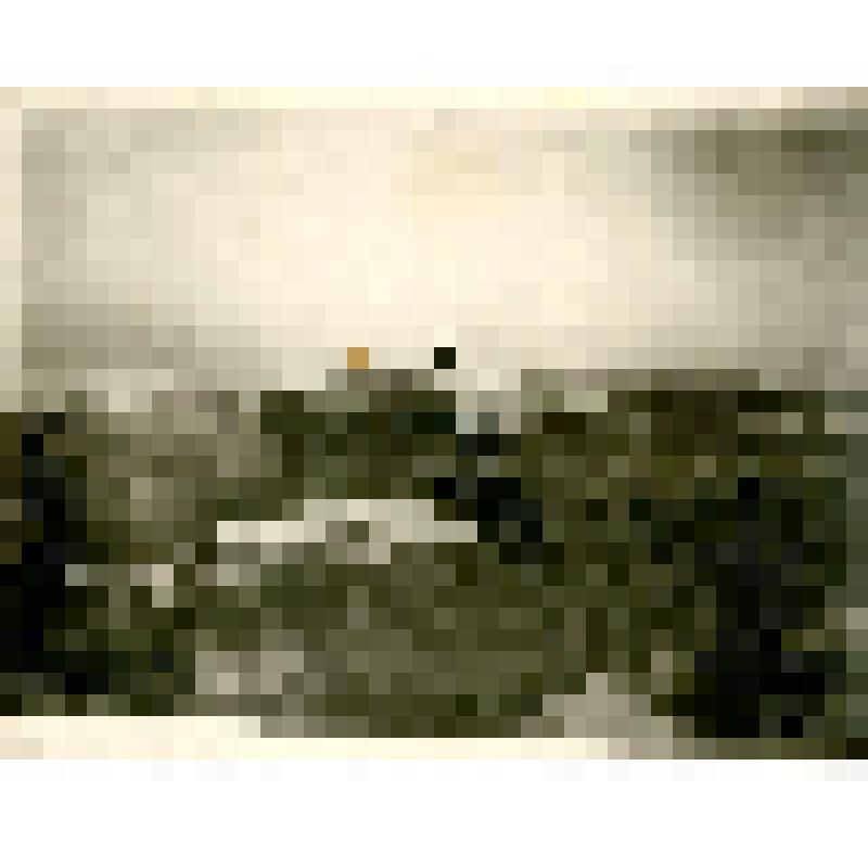 Фотография. Постройка оленсовхоза