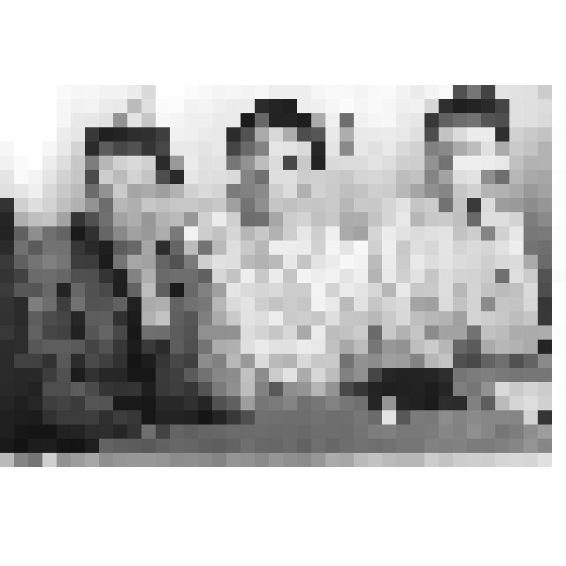 Фото. На учебном семинаре в доме отдыха "Кувшинский"