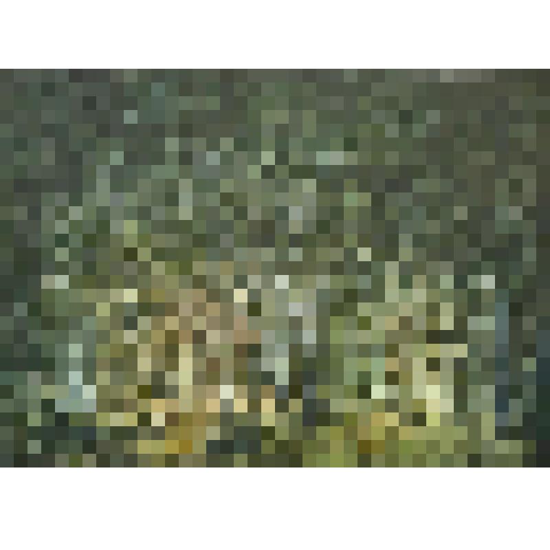 "Чудаки"- М.Горький. Сцена "Парк у дома". Эскиз декораций