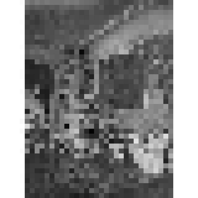 Большой дворец. Малая гостиная (Секретарская). Юго-западный угол