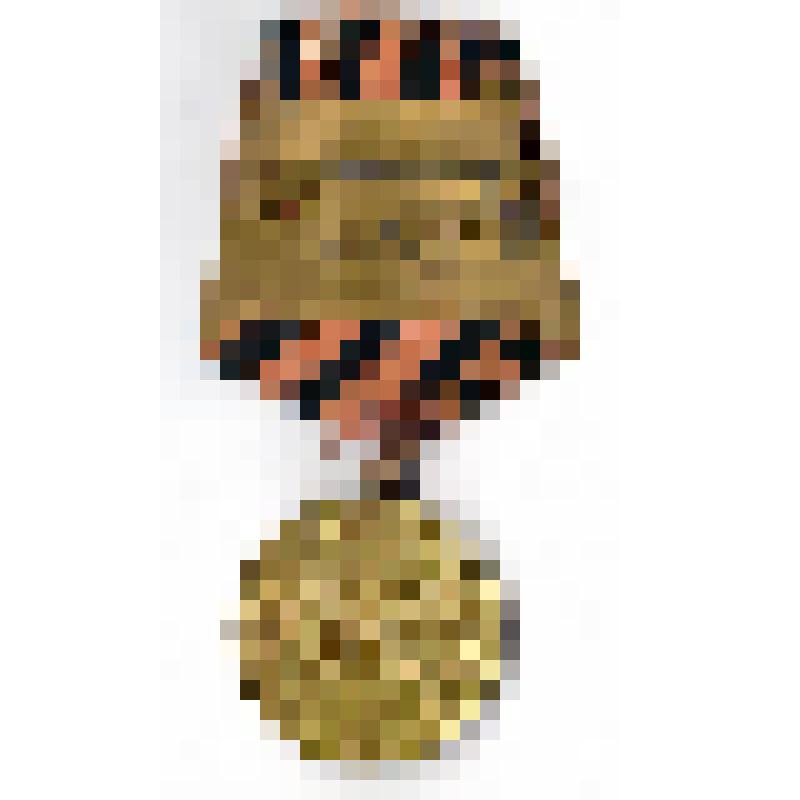 Медаль "За победу над Германией в Великой Отечественной войне 1941-1945 гг"., Григорьева Николая Константиновича