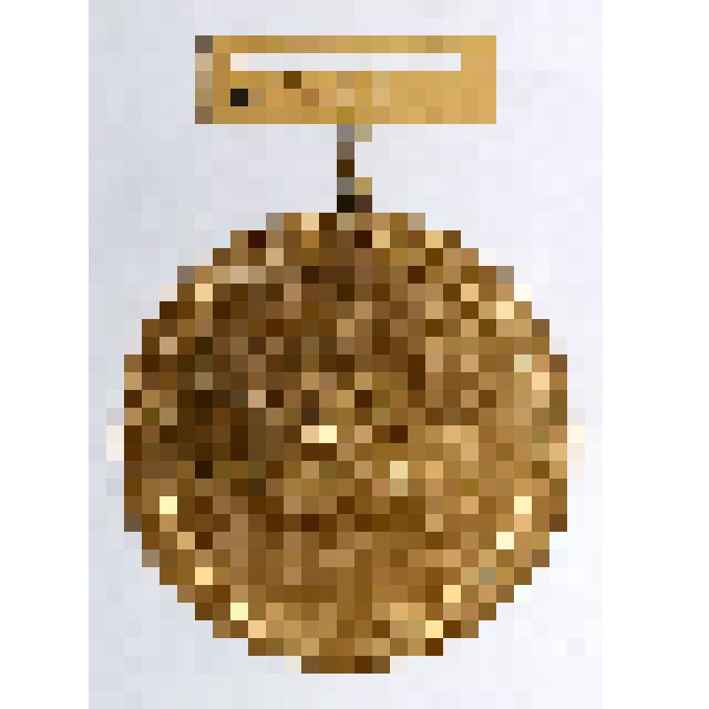 Жетон. Росплемобъединение