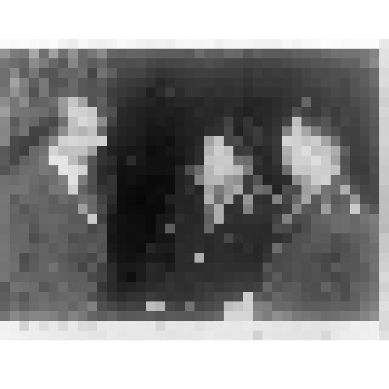 Негатив. Александров А.Н., Генделев Д. и неизвестный.
1957 г