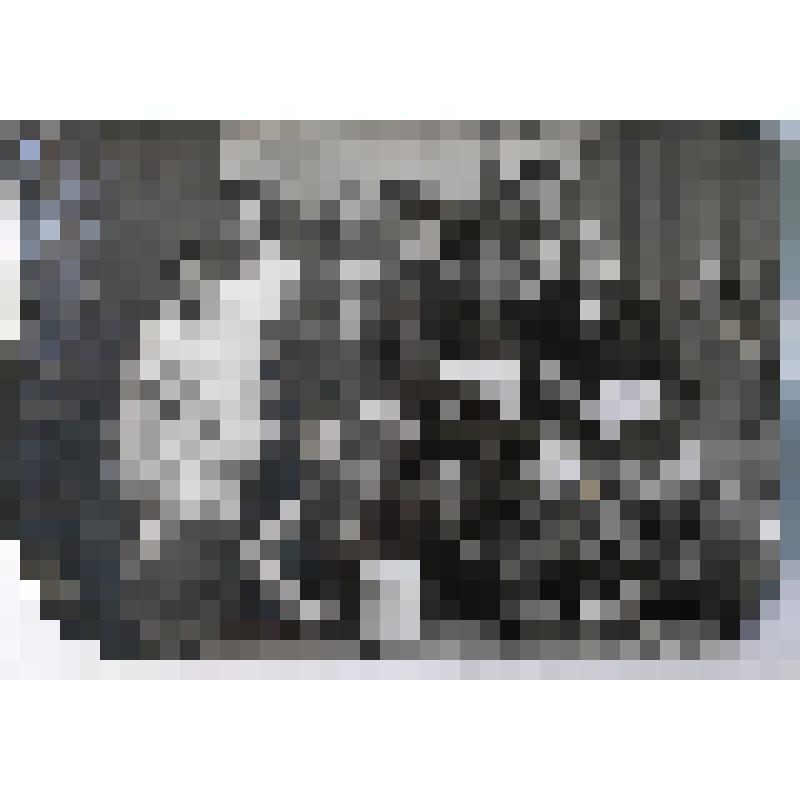 Фото. Студенты Красно - Кутского педагогического училища