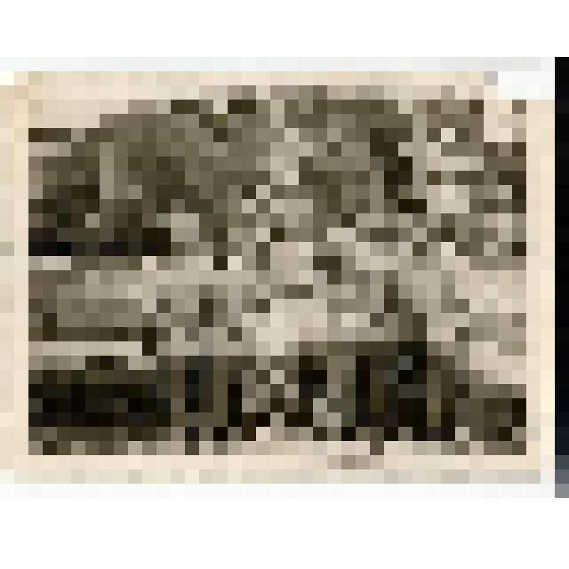 Ф/чб. Банниковы Юрий, Мария с дочкой Инной и родственниками. Ленинабад, Таджикистан. ~ 1958