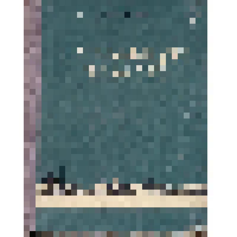 Книга. На большую землю. - Москва: Изд-во ЦК ВЛКСМ "Молодая гвардия", 1952