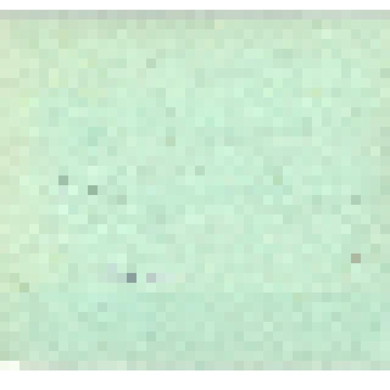 Фотография черно-белая. Плоты на р. Десне в районе с. Кветунь Трубчевского района