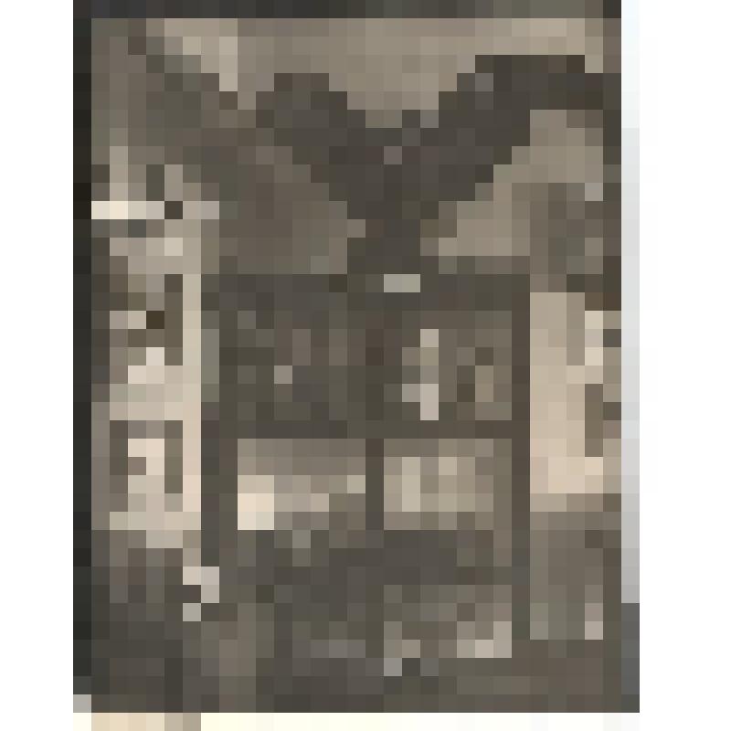 Ф/чб. Экспозиция Центрального музея АССР НП: отдел природы (витрина с чучелами волка и хищных птиц). Энгельс. 1941