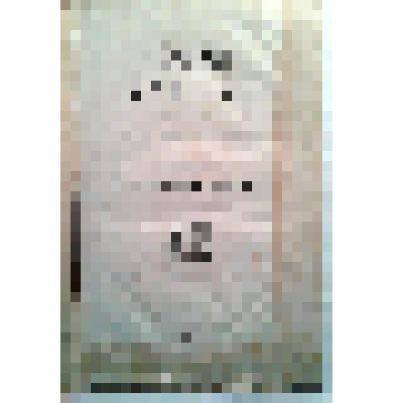 Грибоедов Александр Сергеевич. Горе от ума: Комедия в четырех действиях, в стихах /Сочинение Александра Сергеевича Грибоедова.- Москва: В типографии Августа Семена, при Императорской Медико-хирург. академии, : , 1833: .- 167, [1] с