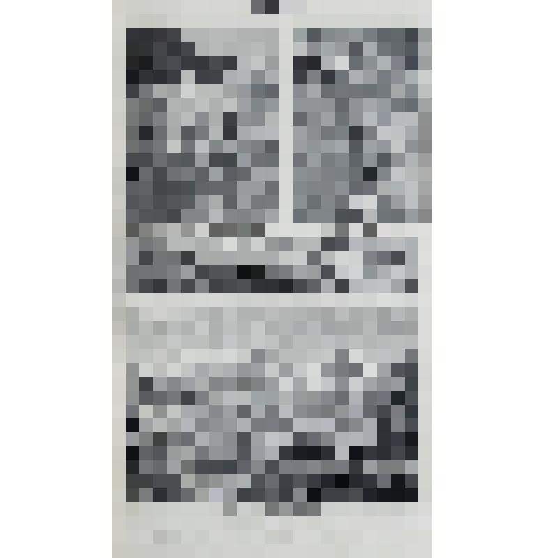 Книга. «Большая Энциклопедия» 
Словарь общедоступных сведений по всем отраслям знания.
Под редакцией С.Н. Южакова и редакторов отделов. том 12  Лит. Ландау – Меламед.
Около 10.000 иллюстраций в тексте и на приблизительно 1000 отдельных приложениях: хромол