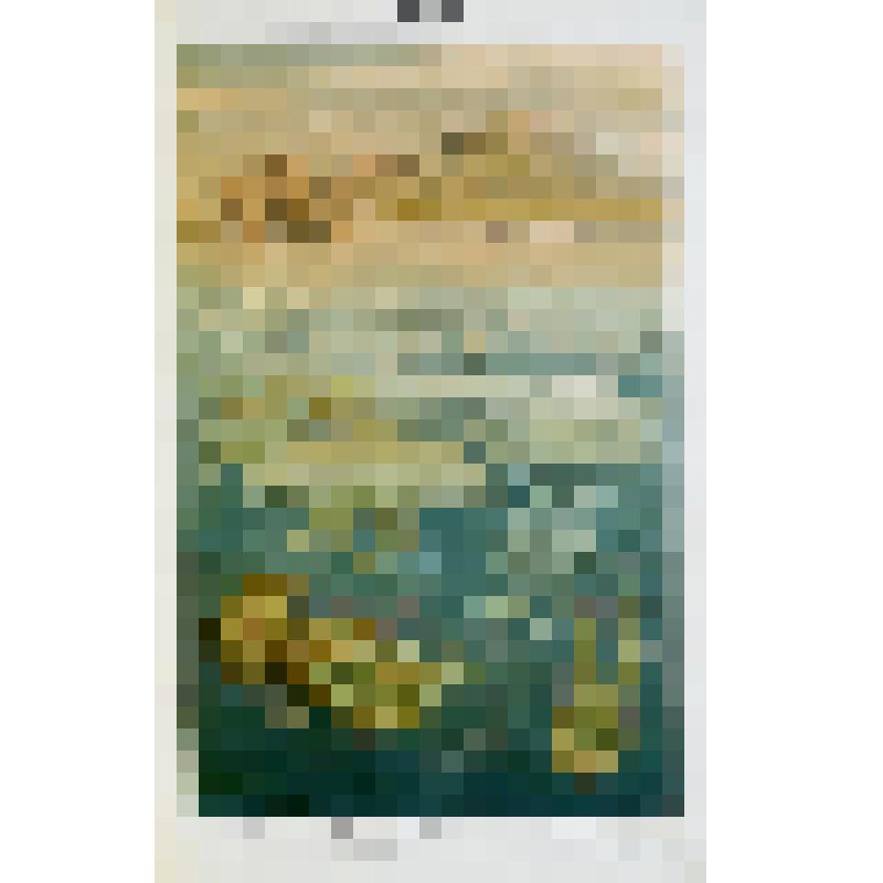 Книга. «Большая Энциклопедия» 
Словарь общедоступных сведений по всем отраслям знания.
Под редакцией С.Н. Южакова и редакторов отделов. том 12  Лит. Ландау – Меламед.
Около 10.000 иллюстраций в тексте и на приблизительно 1000 отдельных приложениях: хромол