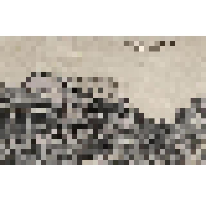 Открытка. Котельнич. Земская управа