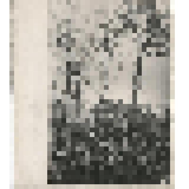 Фотография. Освободители