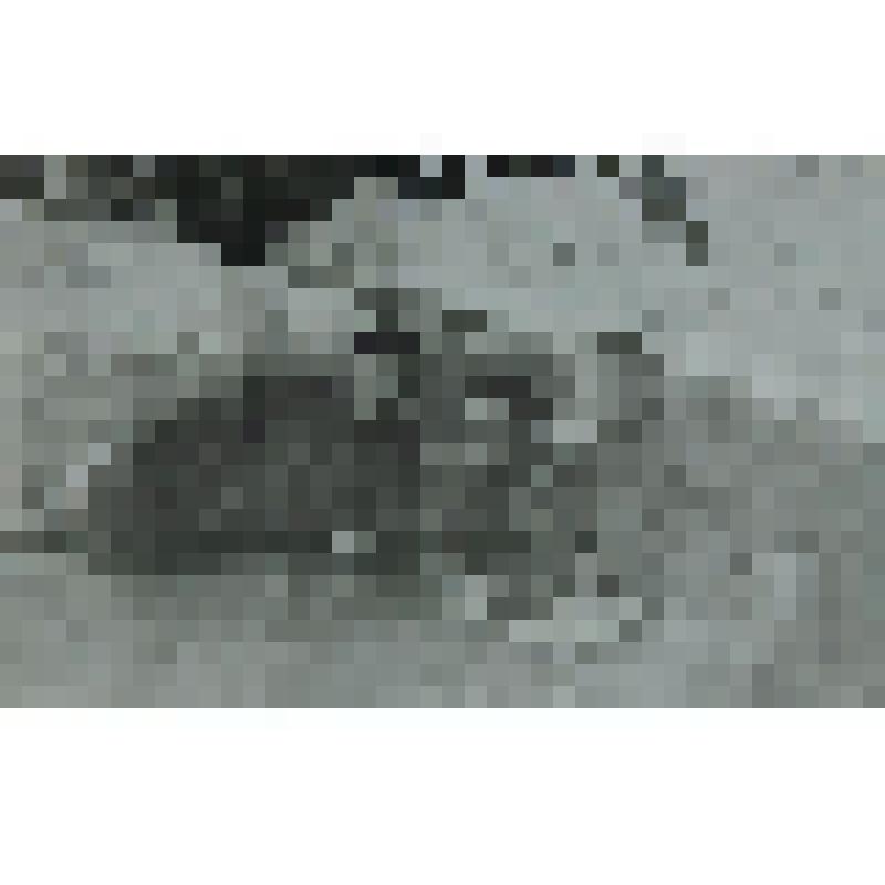 Фотография. Воины 5 танковой бригады: Иваницкий К.И.,  Полищук Ф.С., Матвеев