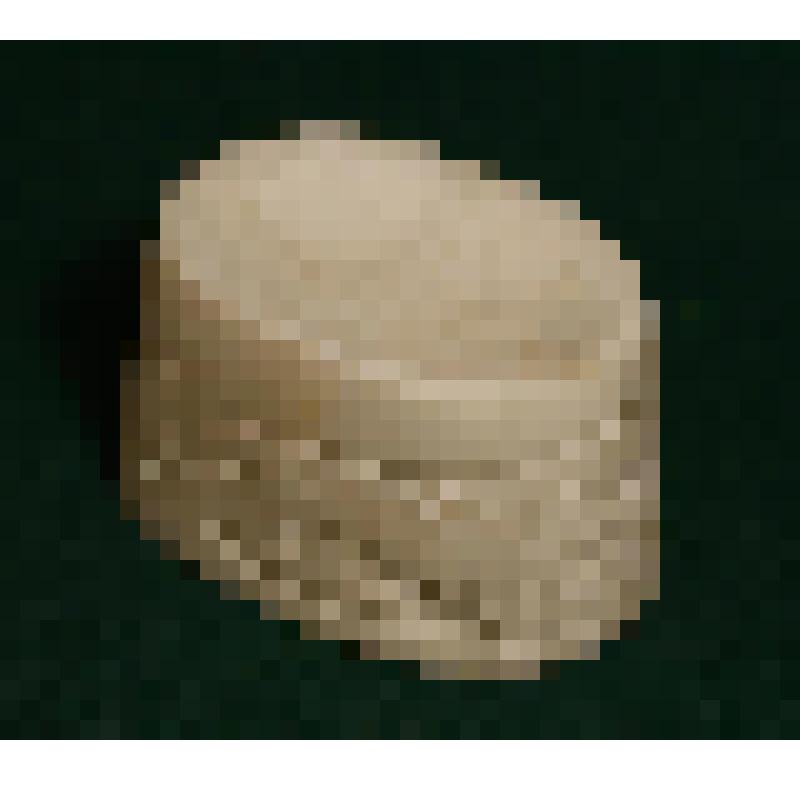 Лоточек «Лев»