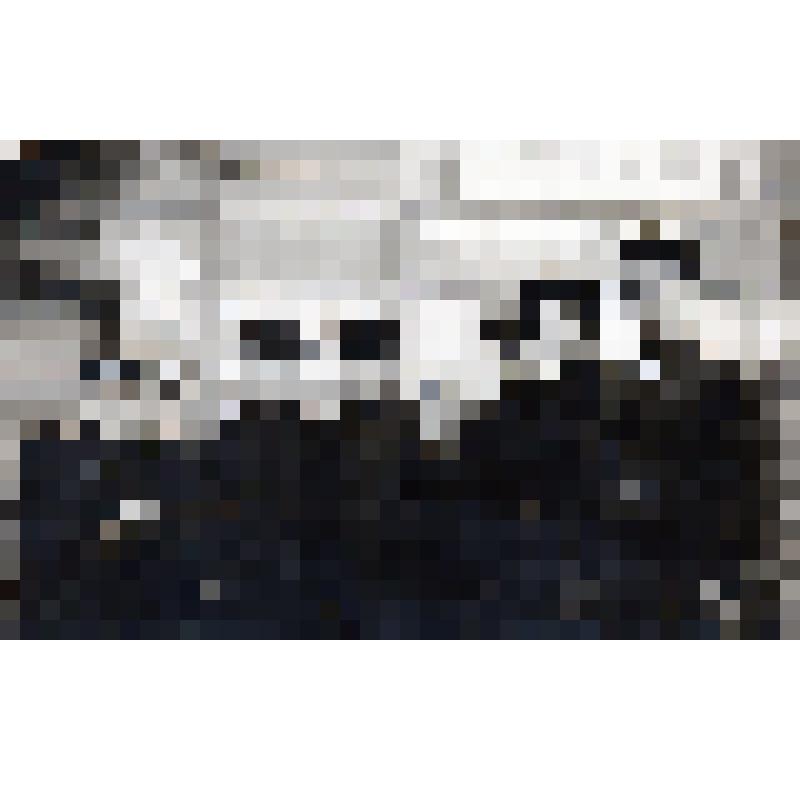 Фотография. Коллектив станции "Лобва", Свердловской железной дороги