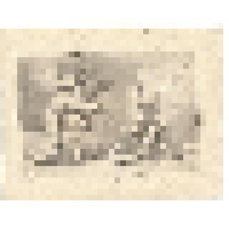 1) «Атлант» 
2) «Борьба Геркулеса со львом»