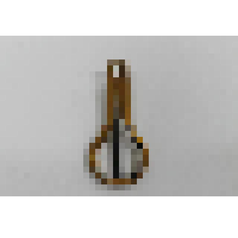 Варган (джюс-харп) американский