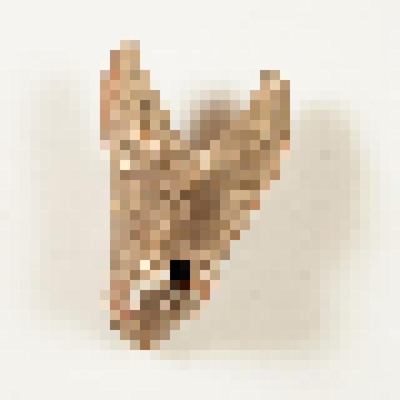 Игрушка "коник" (фрагмент) белоглиняная расписная