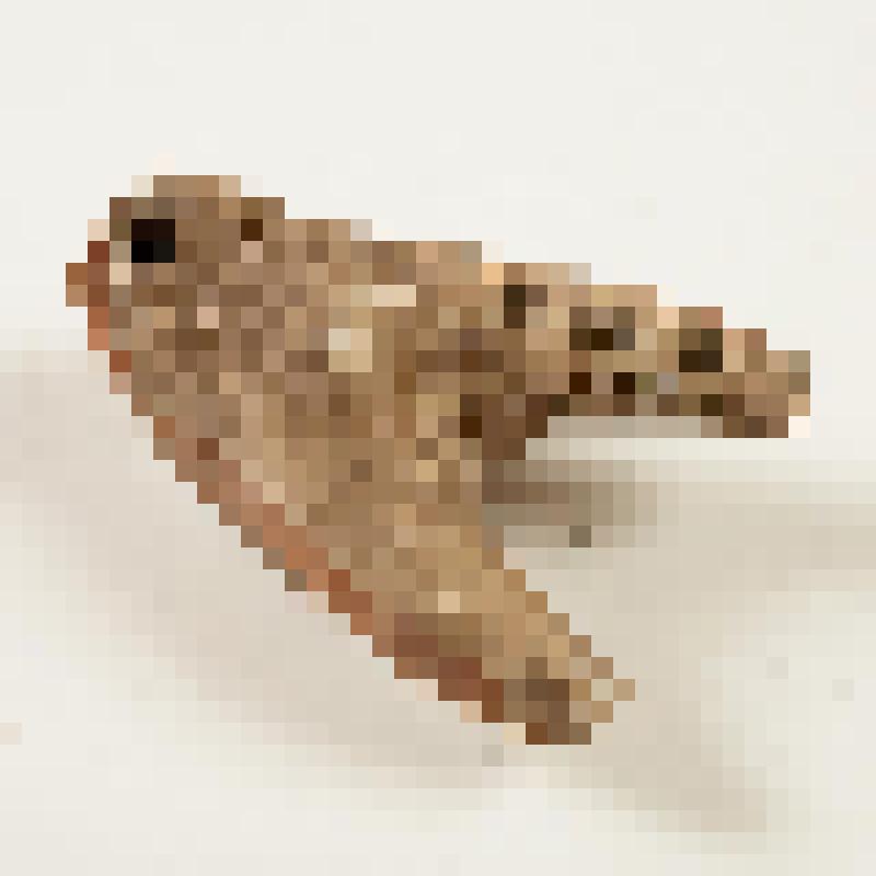 Игрушка "коник" (фрагмент) белоглиняная расписная