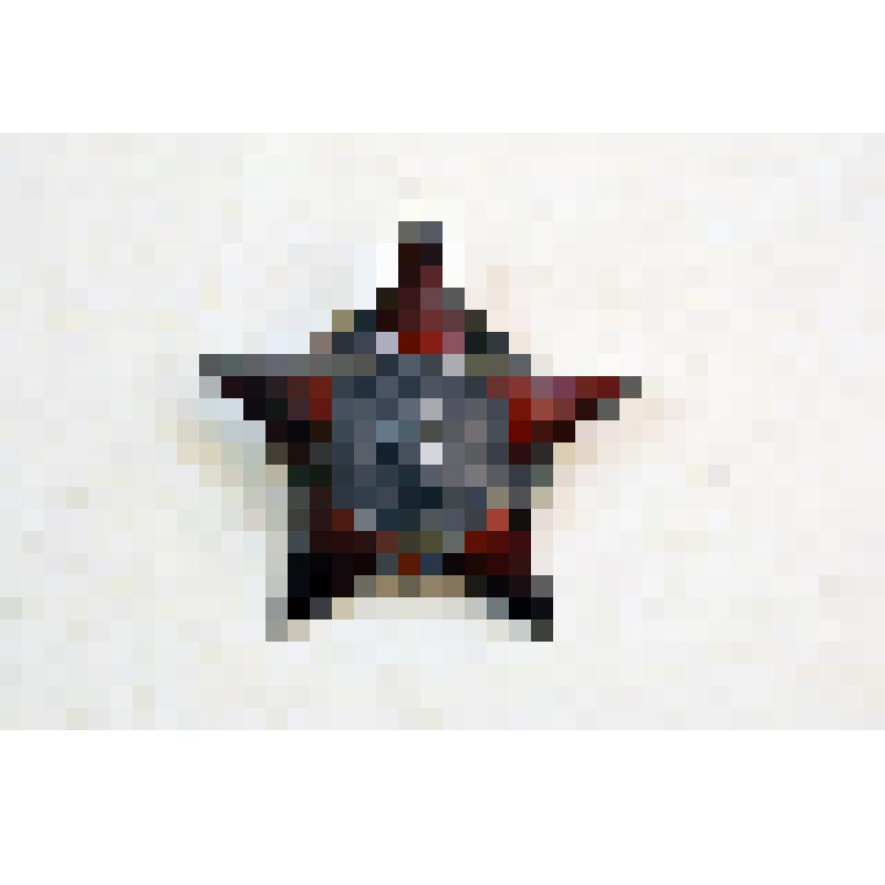 Орден Красной Звезды № 2204823 Ляпцева Николая Ивановича, участника Гражданской и Великой Отечественной войн.
Серебро, эмаль,  металл, чеканка