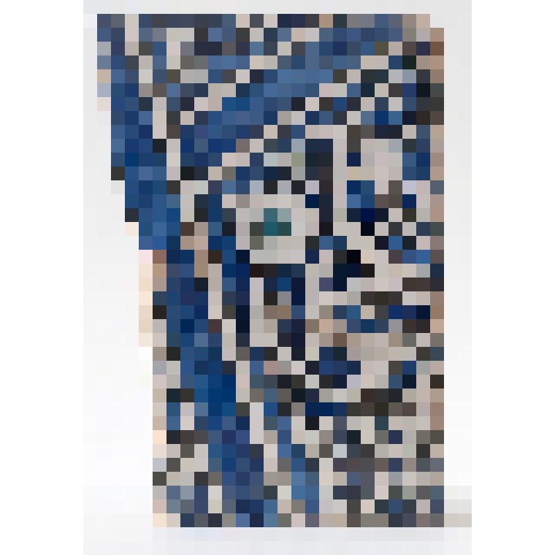 Плитка облицовочная (фрагмент)