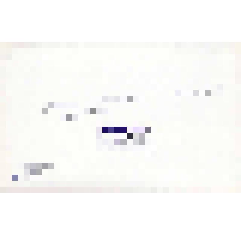 Фото. Выступление хора. Руководитель и дирижер - заслуженный работник культуры БАССР Илья Клигер