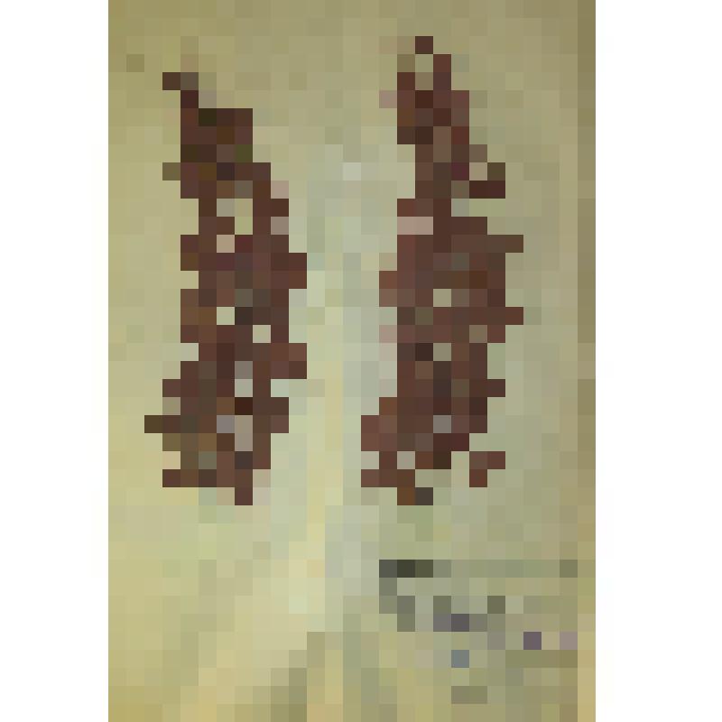 Барбарис Тунберга Berberis thunbergii