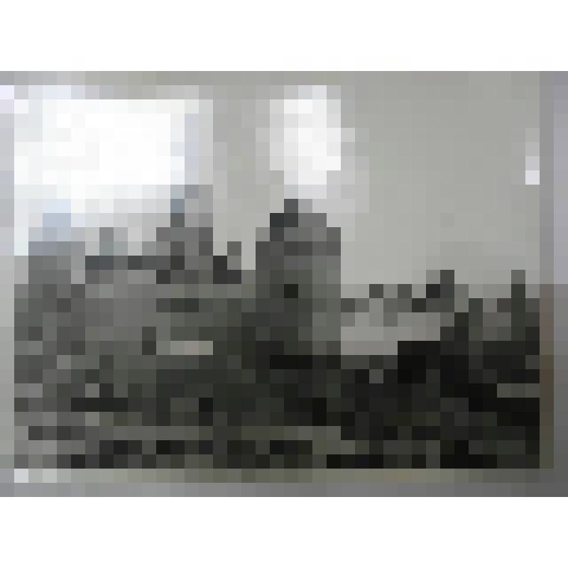 Плотничья башня. Троице-Сергиева лавра. Осн. в 1337 г. 1540-1550 гг. Московская  обл., г. Сергиев Посад (Загорск). Троице-Сергиева лавра. Плотничья башня, 1540-1550 гг. Общий вид с северо-запада. Слева Каличья башня, Успенский собор (1559-1585 гг), колоко