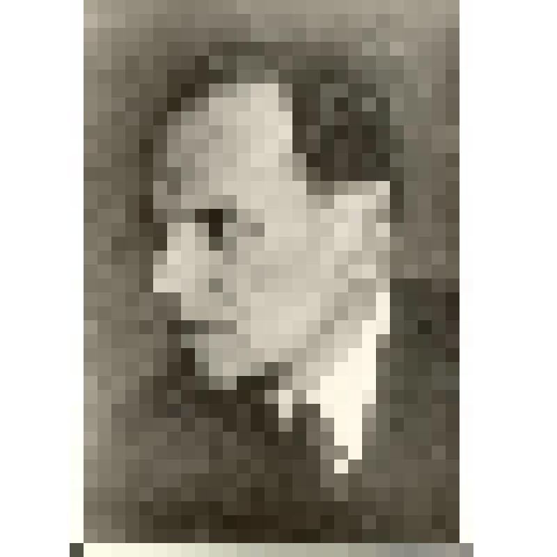 Фотография ч/б. Паустовский  К.Г. Оплечный портрет. Левый профиль, пиджак рубашка белая, галстук в полоску.1940-е гг