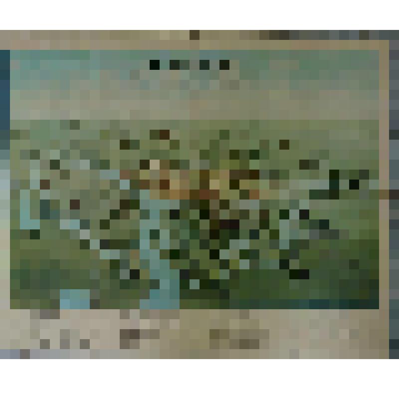 Карта - схема. Панорама Брестской крепости