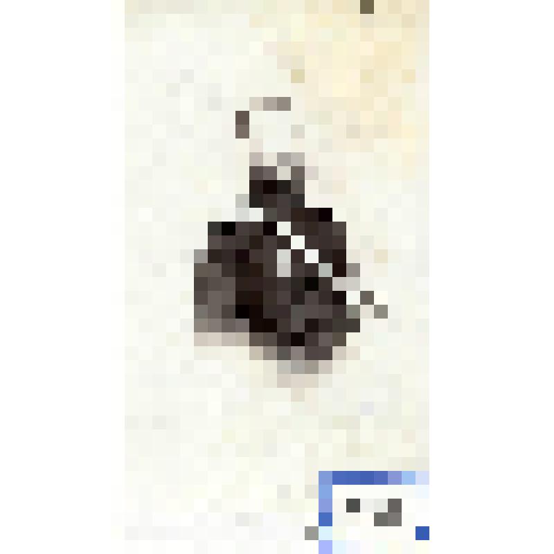 Фотография черно-белая. Тяжельников Иван Иванович