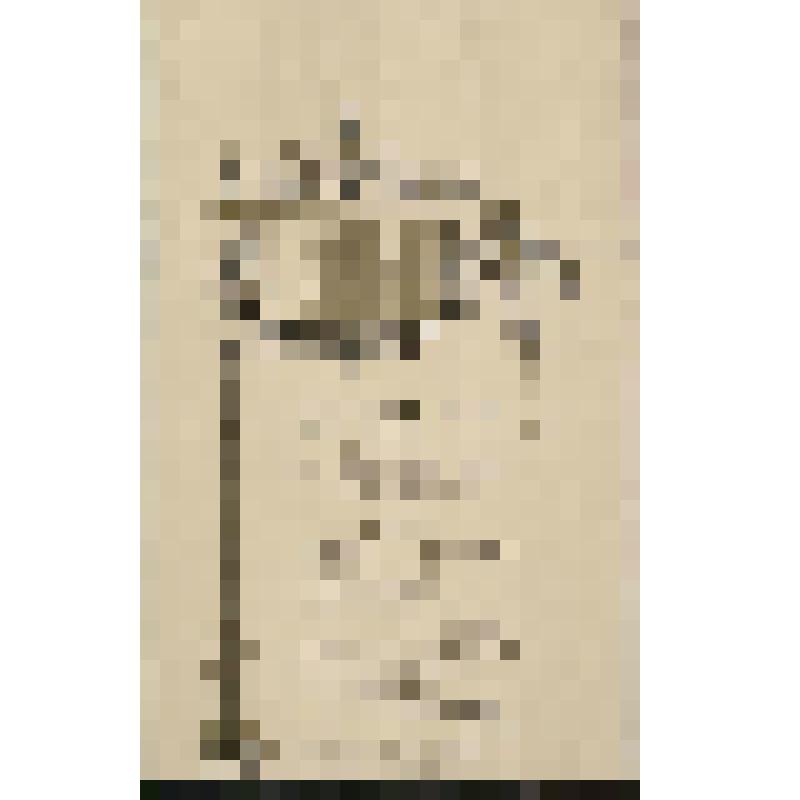 Программа. Концерт "Духовно-музыкальные сочинения и переложения А.Д. Кастальского". Программа