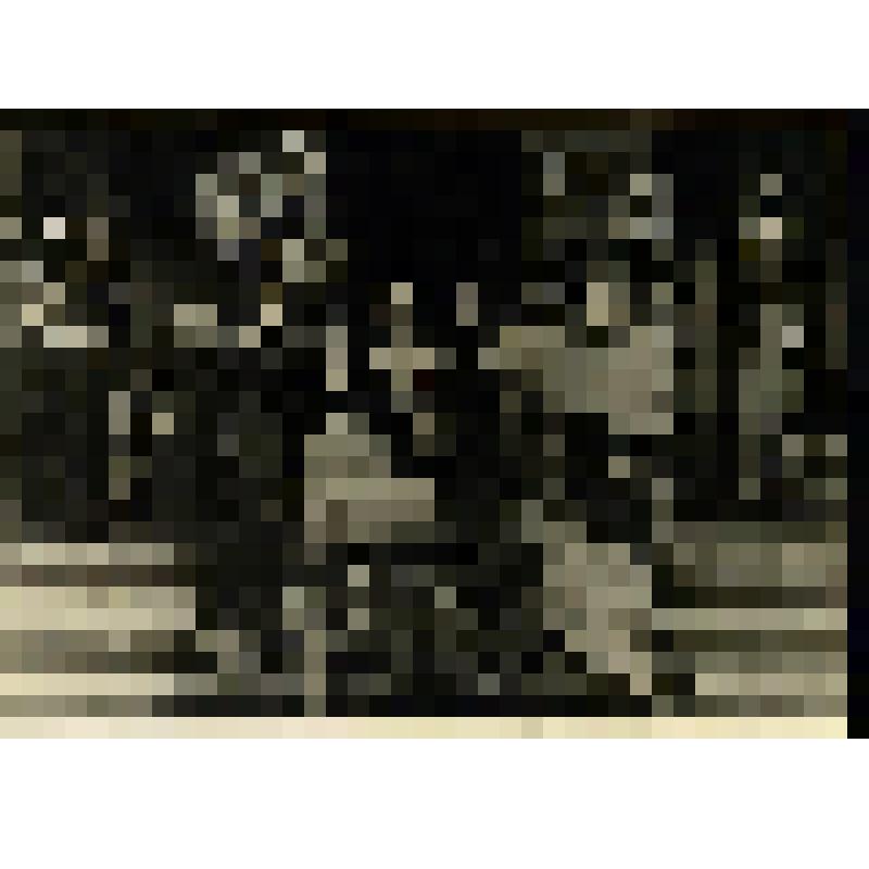 Фотография. Комиссаржевская В.Ф. в группе артистов Александринского театра на гастролях в летнем Красносельском театре