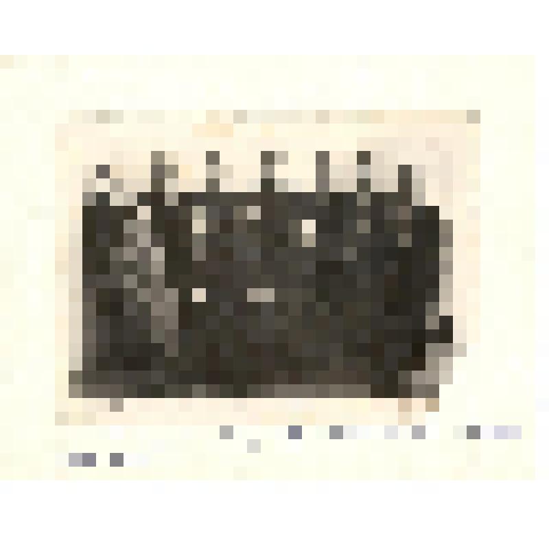 Фотография. Выпуск школы рабочей молодежи г.В.Уфалей, 1949-1950