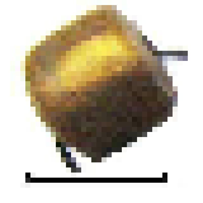 Бусина