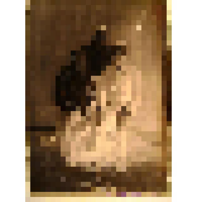 Негатив. Портрет семейный трех человек