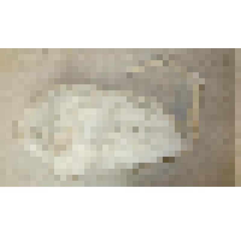 Шкура лебедя