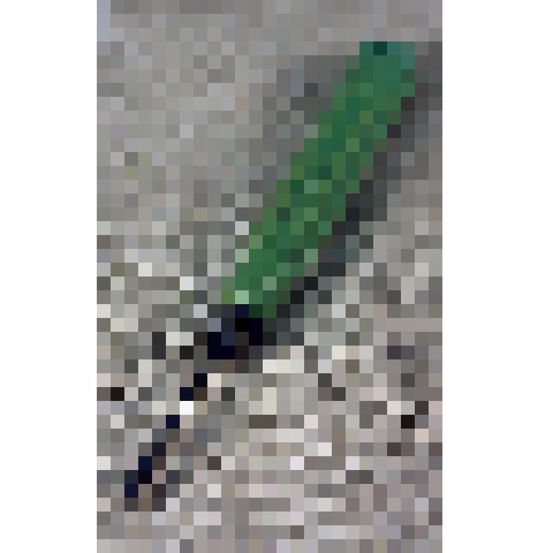 Отвертка со сменными насадками - инструмент радиомеханика СОРТПЦ, из коллекции материалов Давыдова Леонида Николаевича, старшего инженера Саратовского областного радиотелевизионного передающего центра